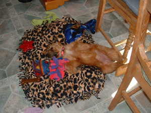 Piper relaxing