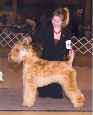 Whindancer's Jackson
