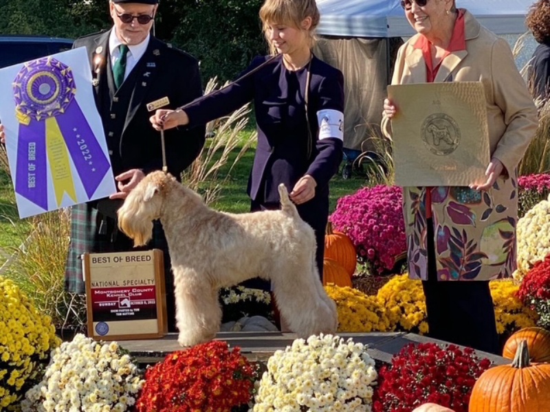 Photo of Andie