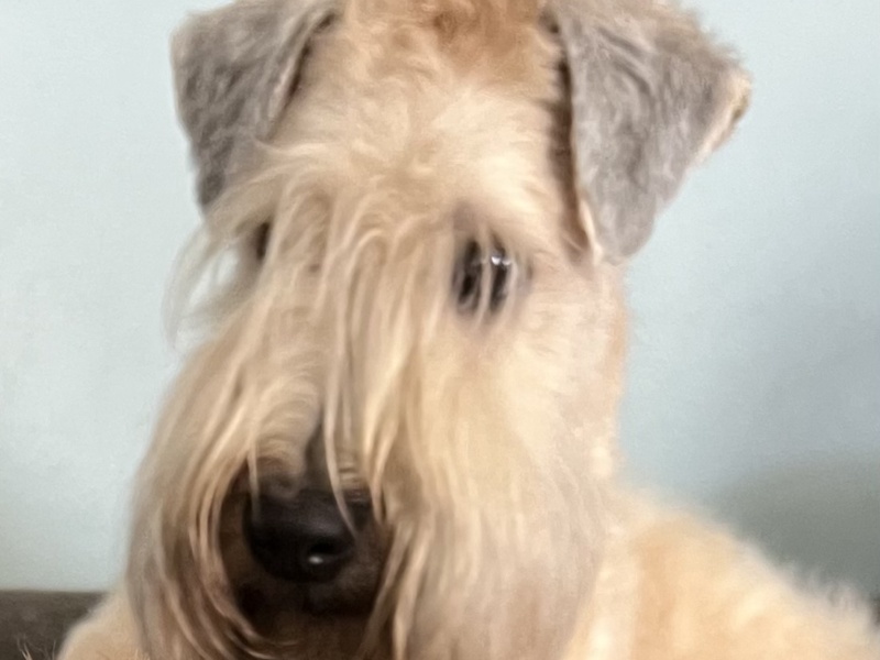 Photo of Mabel